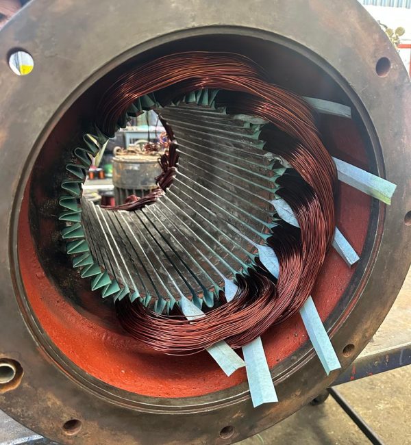 15c5a8db-365d-49eb-99df-206c25d1ae4a